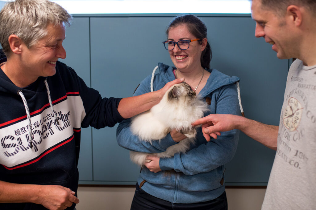 Dierenkliniek-lussing-by-kirstenvansanten-52