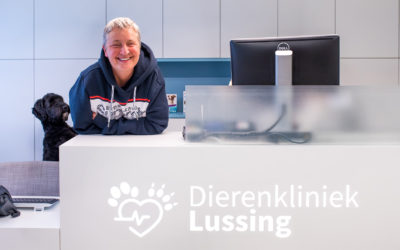 Dierenkliniek Lussing bestaat vandaag 17 jaar!