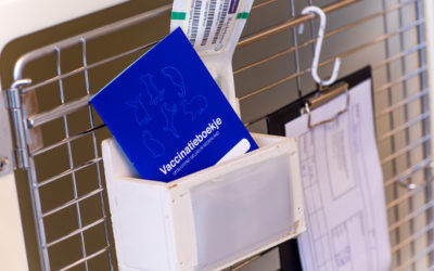 Waarom vaccineren zo belangrijk is