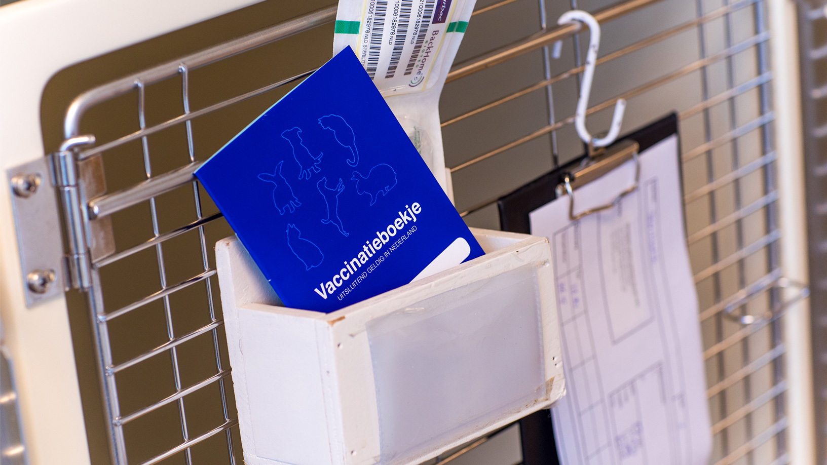 waarom-vaccineren-huisdier-belangrijk-is waarom-vaccineren-huisdier-belangrijk-is