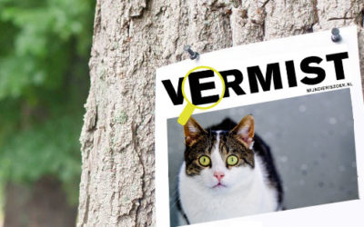 Mijn huisdier is vermist, wat nu?
