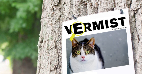 huisdier-vermist